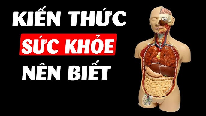 Toàn Bộ KIẾN THỨC Về Sức Khỏe Bạn Phải Biết